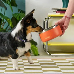 Pet Bowl