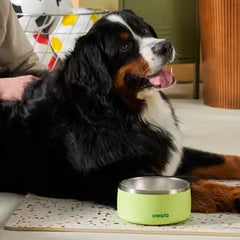 Pet Bowl
