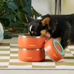 Pet Bowl